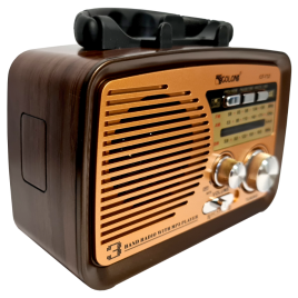 RADIO KUCHENNE FM z rączką PRZENOŚNE sieciowe kol.3 złoty góra