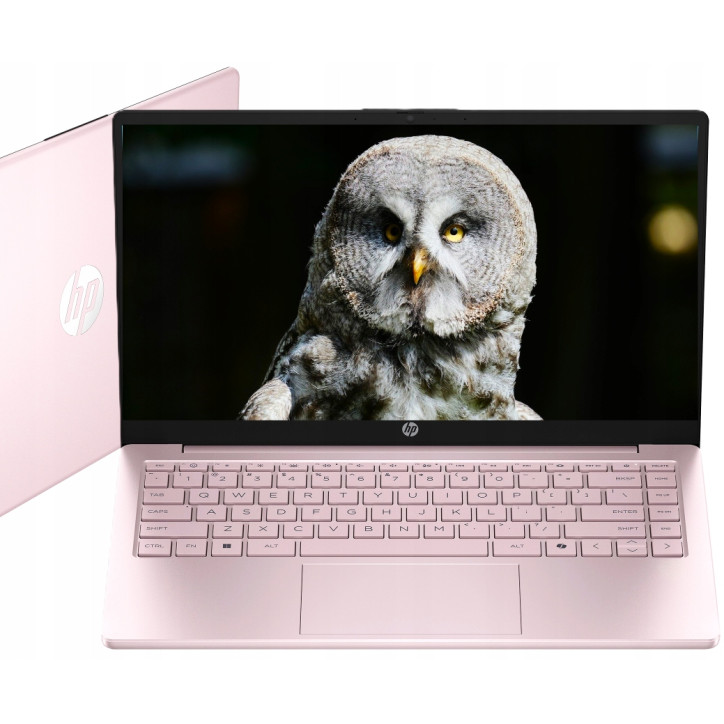 Limitowany Laptop Intel N 8GB 128GB Intel UHD Graphics HD Win 11 Różowy