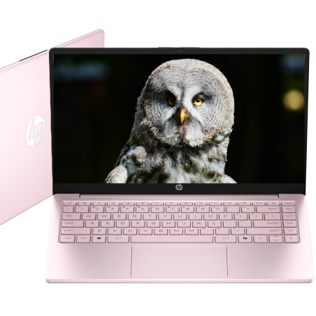Laptop HP 14-ep Intel N 4GB 128GB UFS Intel UHD Graphics HD Win 11 Różowy