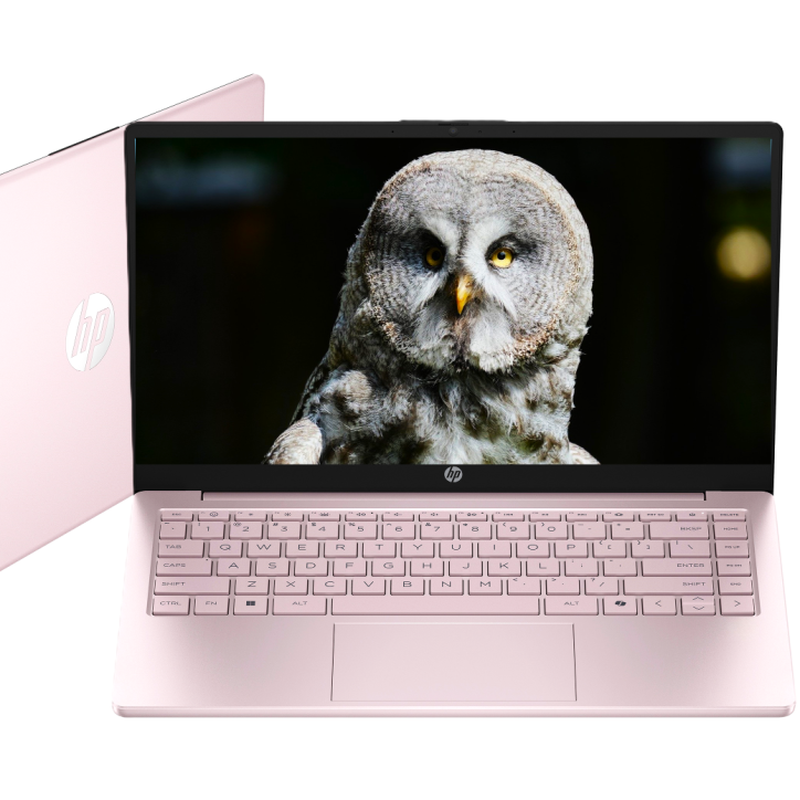 Laptop HP 14-ep Intel N 4GB 128GB UFS Intel UHD Graphics HD Win 11 Różowy Laptop HP 14-ep Intel N 4GB 128GB UFS Intel UHD Graphics HD Win 11 Różowy