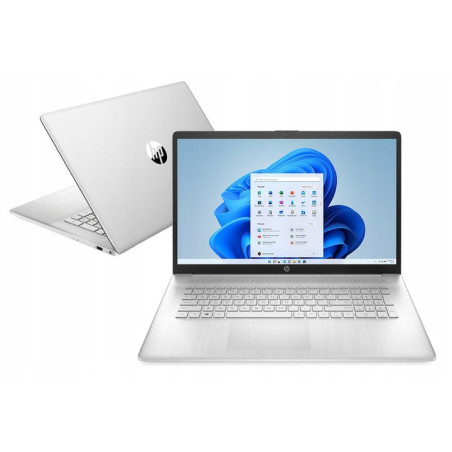 HP 17 Intel Quad-Core N4120 8GB 1TB SSD