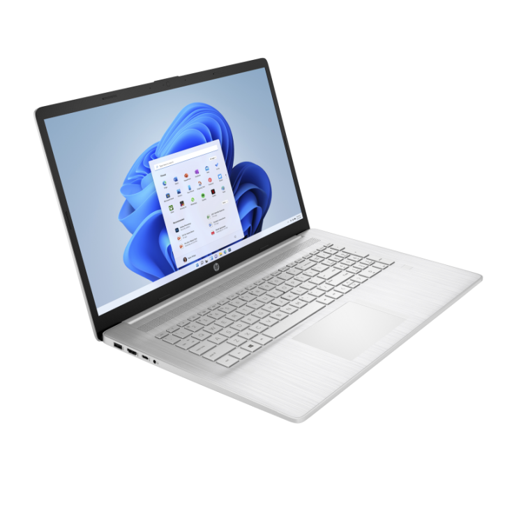 HP 17 Intel Quad-Core N4120 8GB 1TB SSD