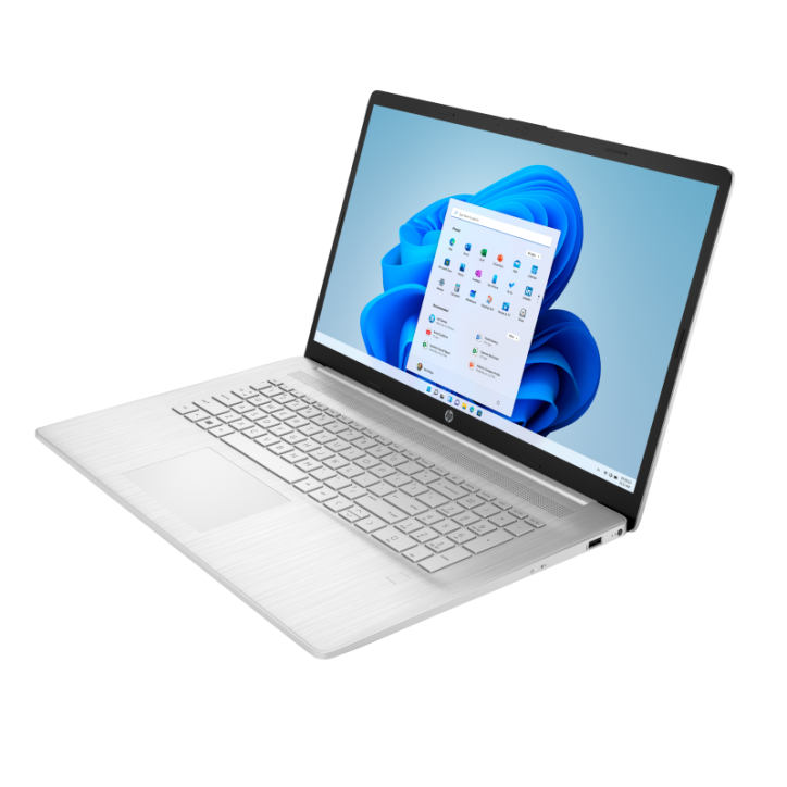 HP 17 Intel Quad-Core N4120 8GB 1TB SSD
