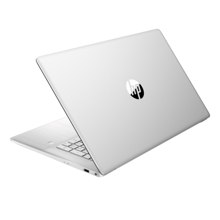 HP 17 Intel Quad-Core N4120 8GB 1TB SSD