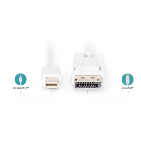 Kabel połączeniowy Displayport 1.1a Typ miniDP/DP M/M biały 3m